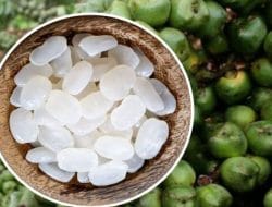 Manfaat Kolang-kaling untuk Kesehatan, Primadona Menu Sehat Saat Ramadan