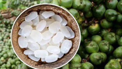 Manfaat Kolang-kaling untuk Kesehatan, Primadona Menu Sehat Saat Ramadan