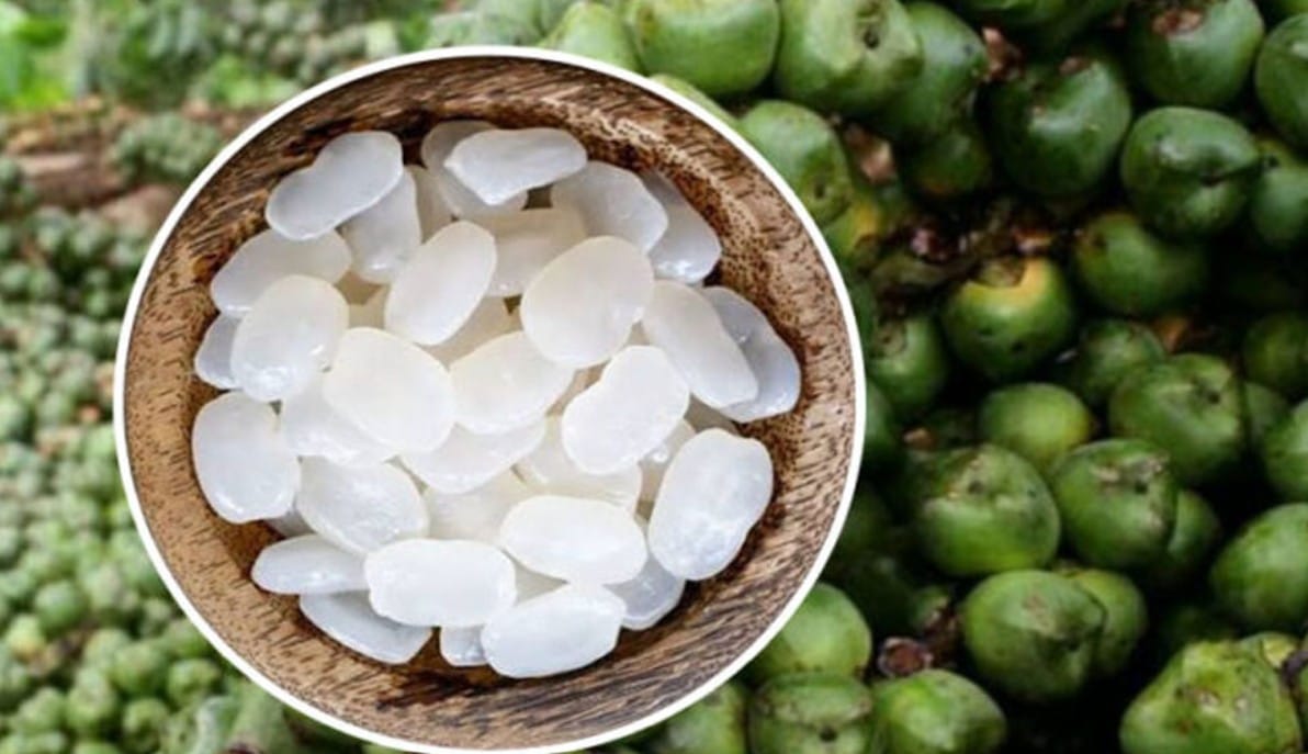 kolang-kaling segar kaya nutrisi