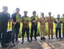 Panen Raya Pahisa 08 Wonogiri Diproyeksikan Tembus 3.400 Ton