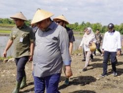 Percepatan Luas Tanam Sragen Didorong Kementan, Target 137 Ribu Hektare Tahun Ini