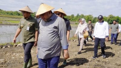 Dirjen PSP Kementan meninjau lahan pertanian di Sragen