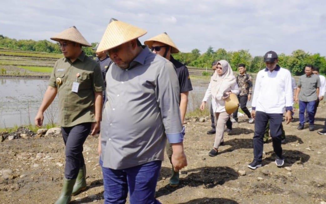 Dirjen PSP Kementan meninjau lahan pertanian di Sragen