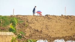 Tanggul Sungai Tuntang Grobogan retak di Desa Tinanding Kecamatan Godong dekat titik tanggul jebol Februari 2026